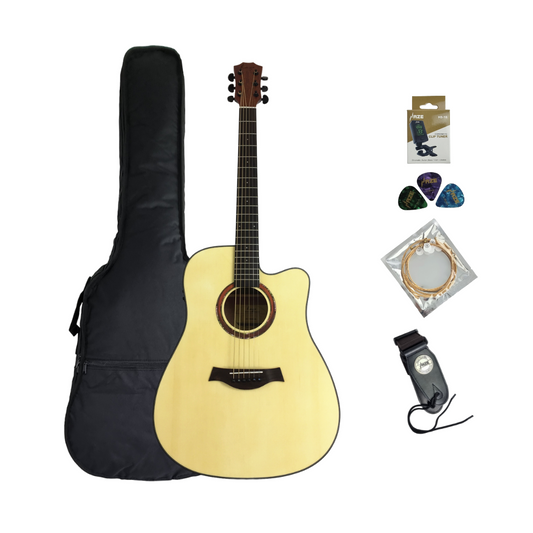 Haze Solid Spruce Built-In Pickups/Tuner Acoustic Guitar- W1654CEQN