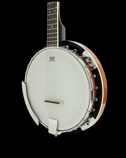 Caraya 4-String Mahogany Body Resonator Tenor Banjo - Natural BJ004EQ1