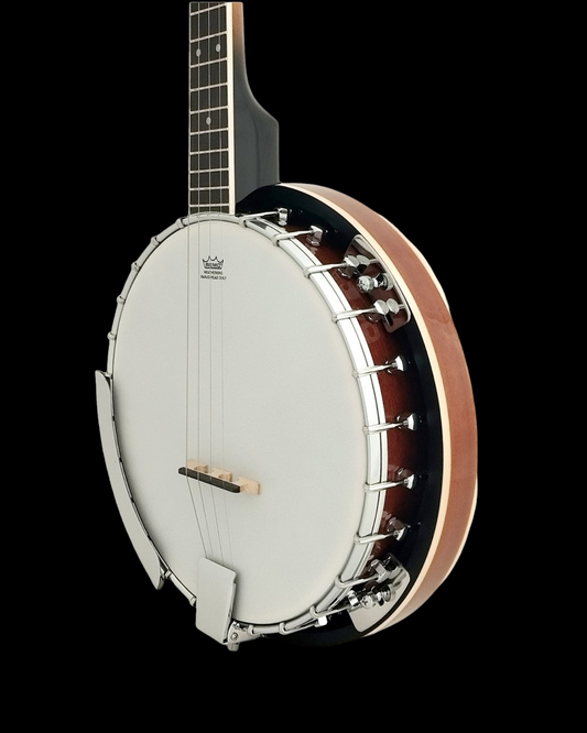 Caraya 4-String Mahogany Body Resonator Tenor Banjo - Natural BJ004EQ2