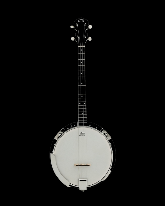 Caraya 4-String Mahogany Body Resonator Tenor Banjo - Natural BJ004EQ2