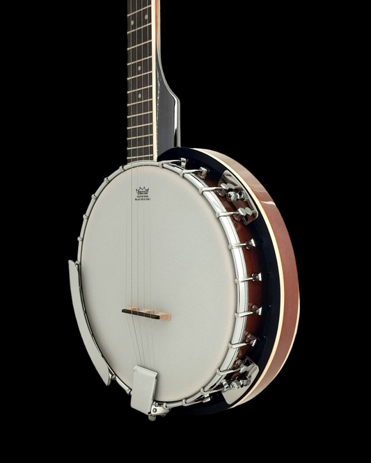 Caraya 5-String Mahogany Body Resonator Banjo with pickup - Natural BJ005EQ2