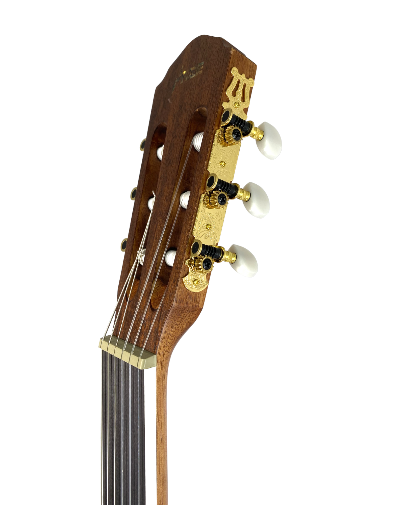 Haze Solid Top Thin Body Arched Back Classical Guitar - Matte C551BCEQSM