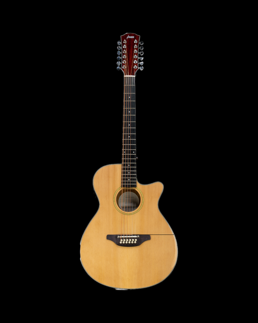Haze 12-String Saddle Height Adjustable Built-In Pickup/Tuner Acoustic Guitar - Natural SDG82712CEQN