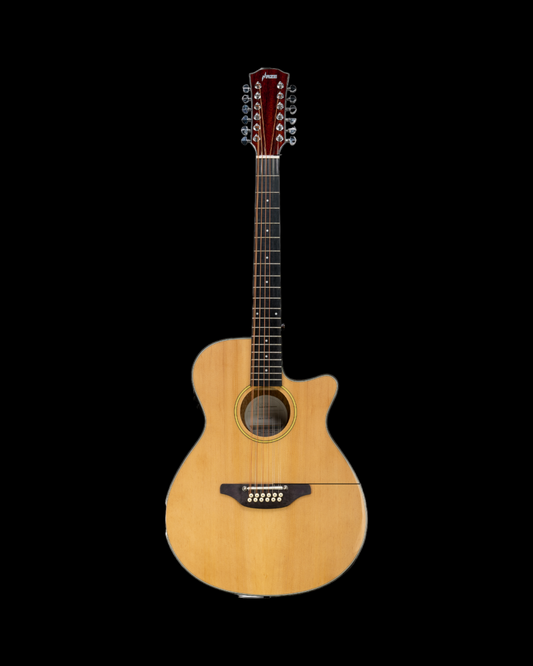 Haze SDG82712CEQN 12-String Saddle Height Adjustable Built-In Pickup/Tuner Acoustic Guitar - Spruce Top- Natural