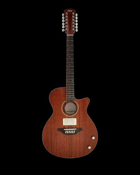 Haze  12-String Hybrid special Acoustic-Electric Guitar - Solid top  Natural SDG82812CHEQSM