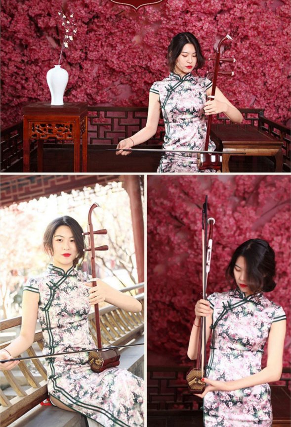 Chinese Erhu 2-string Violin Rosewood Solid Wood W Hard Case Ling Yan L290